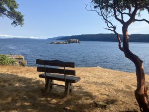 Bench on Clark Island